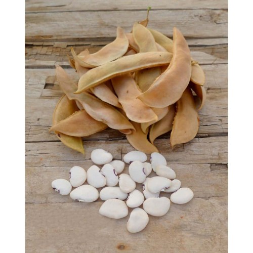 Fagiolino per Paella 300 gr da Valencia miglior prezzo