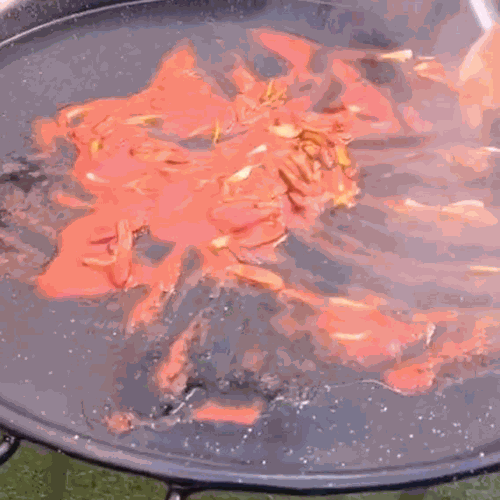 2.- Tagliare il polpo e friggerlo