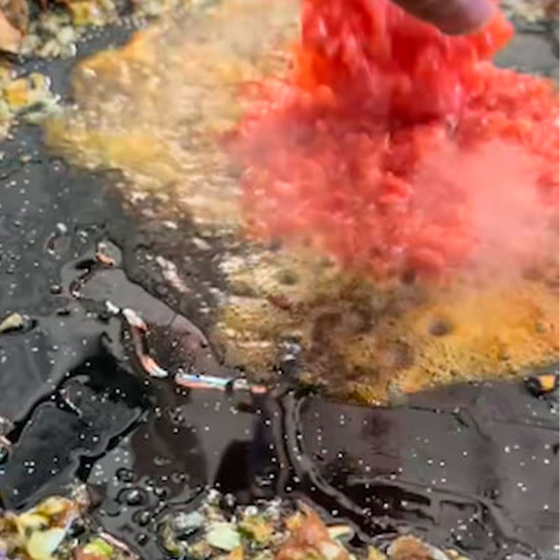 5.- Aggiungere i pomodori pelati e la paprika e far rosolare.