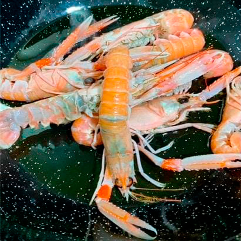 1.- Solleviamo il gambero