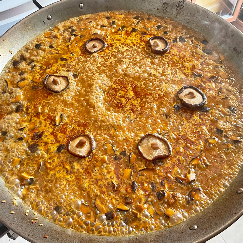 8.- Collocazione dei funghi