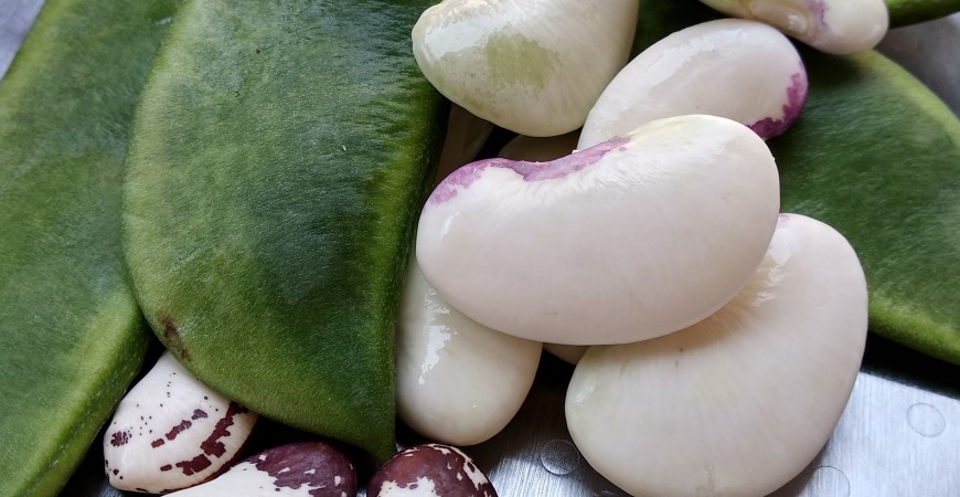 Come preparare i fagiolini alla valenciana per la paella