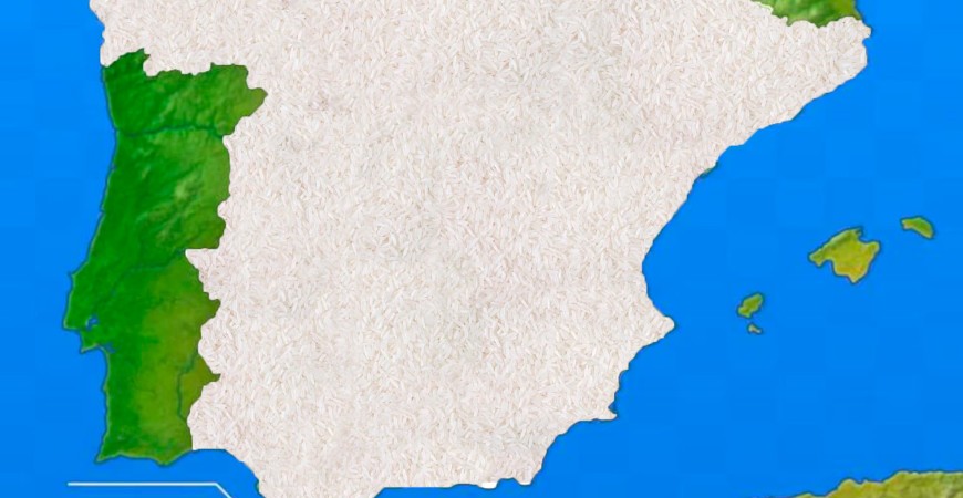 Itinerario del Riso e della Paella: Sapori della Spagna, piatto per piatto