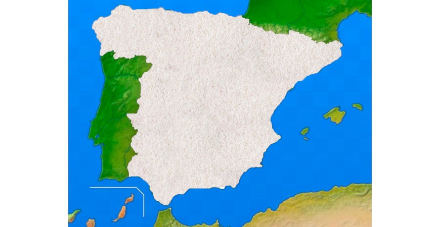 Ruta del arroz