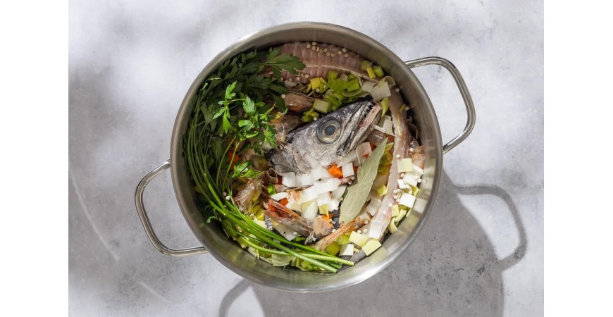 Quali sono i pesci migliori per i fumetti?